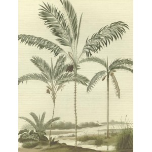 MURAL EIJFFINGER OASIS PALM NATURAL VERDE