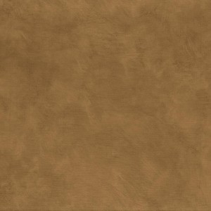 PAPEL PINTADO CASAMANCE L´ATELIER ARGILE CAMEL