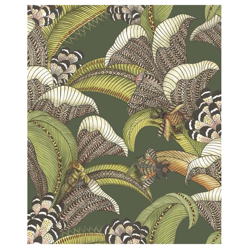 PAPEL PINTADO COLE & SON JABULA HOOPOE VER BO