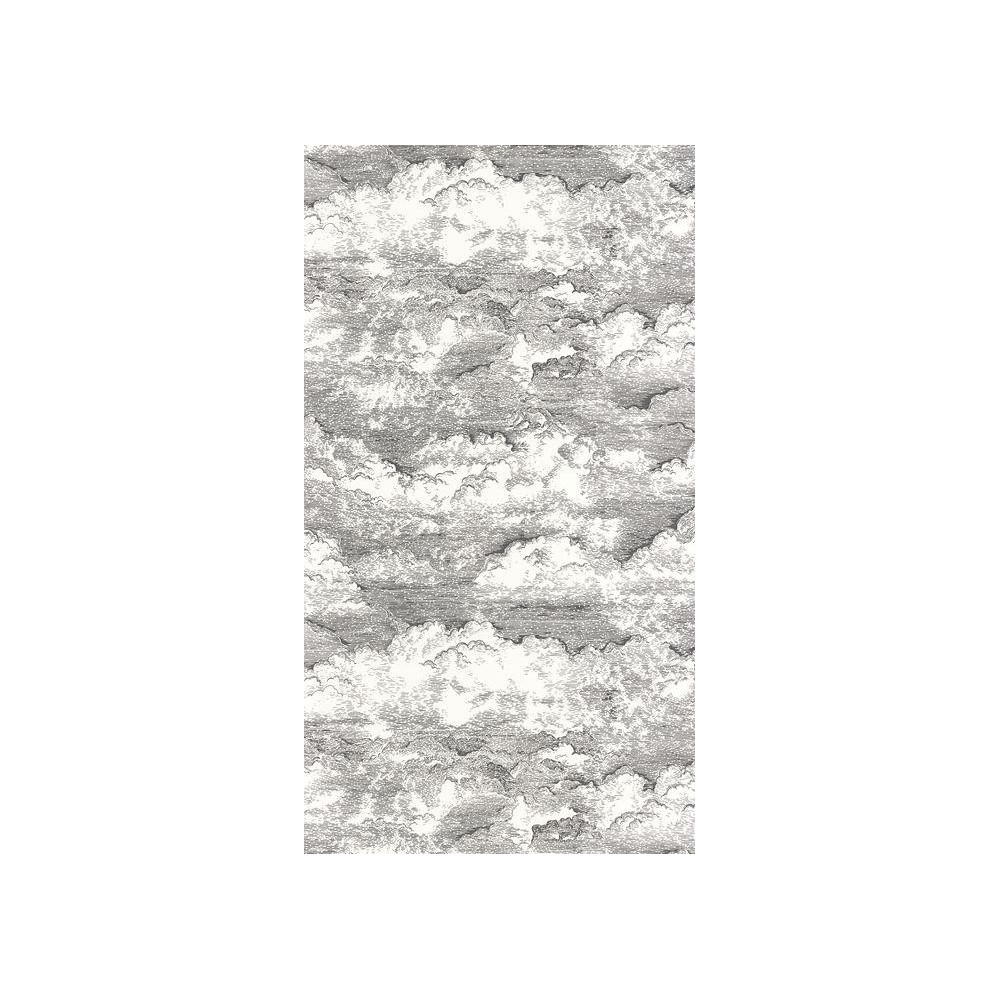 PAPEL PINTADO CASADECO VOYAGE ONIR SONGE BL/NE