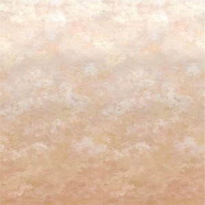 MURAL DESIGNERS SCENES&MURALS CHETTINAD SHELL