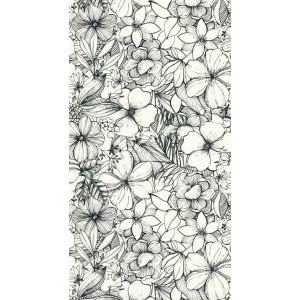 PAPEL PINTADO CASELIO YOUNG & FREE CALIFORNIA B/N