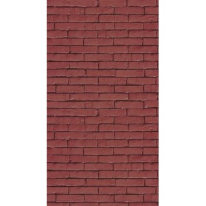 PAPEL PINTADO CASELIO YOUNG & FREE BE FREE ROJO