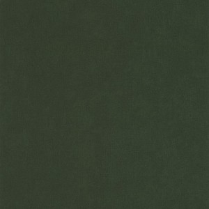 PAPEL PINTADO CASELIO LABYRINTH LIFE VERDE BO