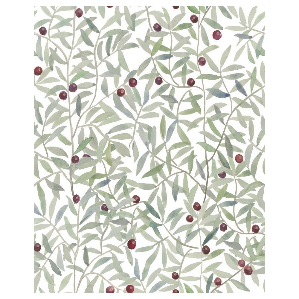 COORDONNE 40AN JOSELU MONTOJO BLANCO/VERDE/ROJO