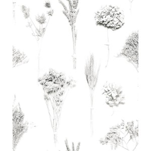 COORDONNE 40AN CONCE FIOL BLANCO/GRIS