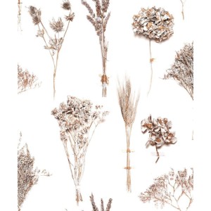 COORDONNE 40AN CONCE FIOL BLAN/GRIS/MARRON BRONCE