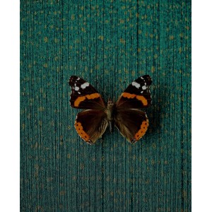 PAPEL PINTADO EIJFFINGER MUSEUM VERDE OSCURO/DORA