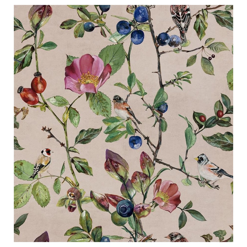 PAPEL PINTADO COORDONNE NATURAE SONG BLUSH ROSA