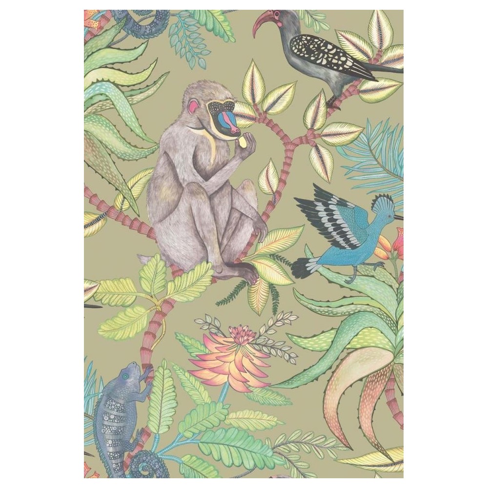 PAPEL PINTADO COLE & SON ARDMORE SAVUTI MULTICOLOR