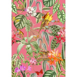 PAPEL PINTADO COORDONNE BRAZIL PARROTS ROSA