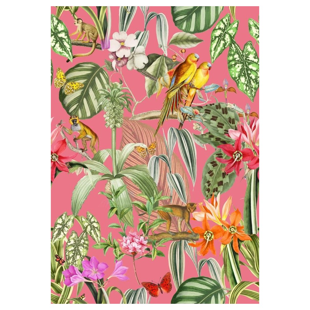 PAPEL PINTADO COORDONNE BRAZIL PARROTS ROSA