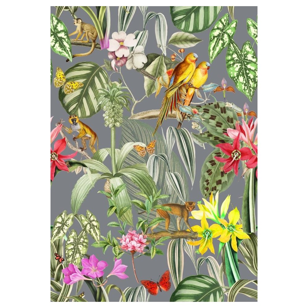 PAPEL PINTADO COORDONNE BRAZIL PARROTS TORMENTA