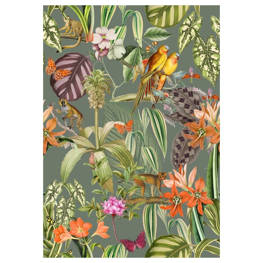 PAPEL PINTADO COORDONNE BRAZIL PARROTS MUSGO