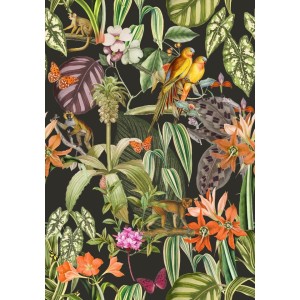 PAPEL PINTADO COORDONNE BRAZIL PARROTS ANTRACITA