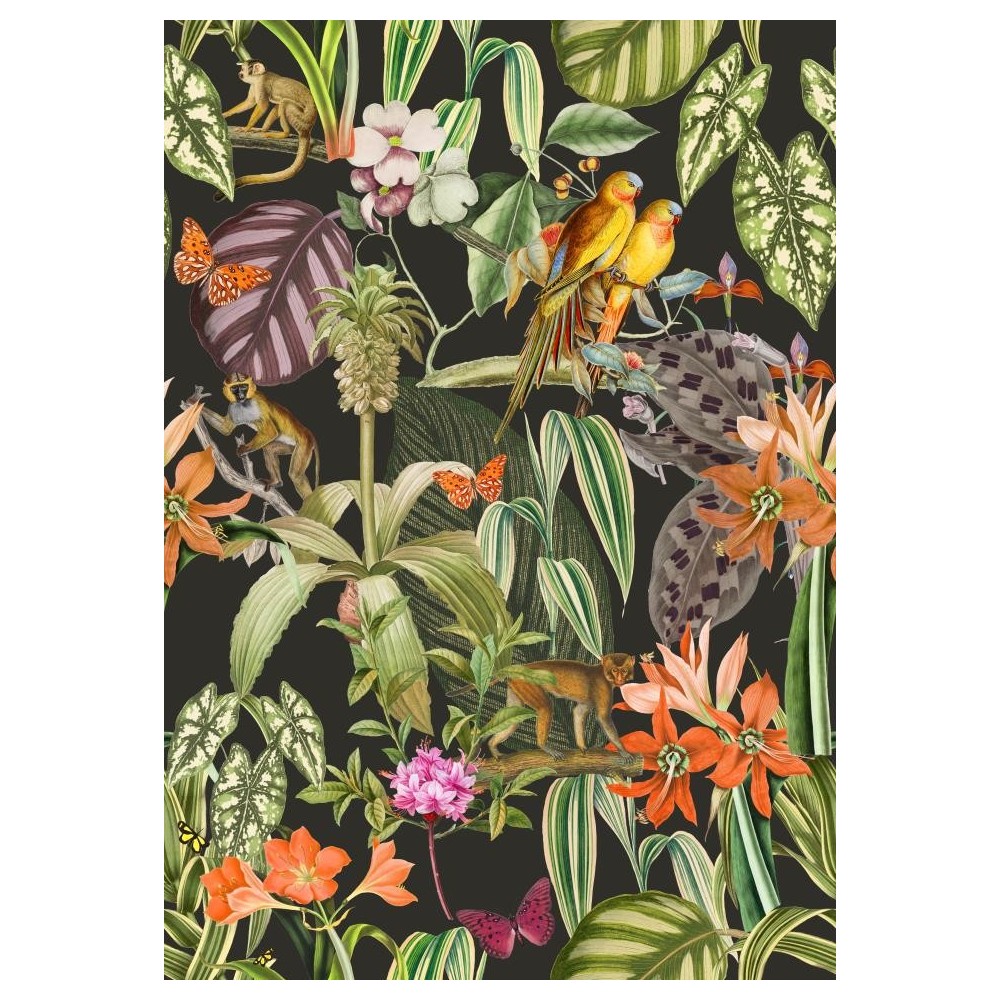 PAPEL PINTADO COORDONNE BRAZIL PARROTS ANTRACITA