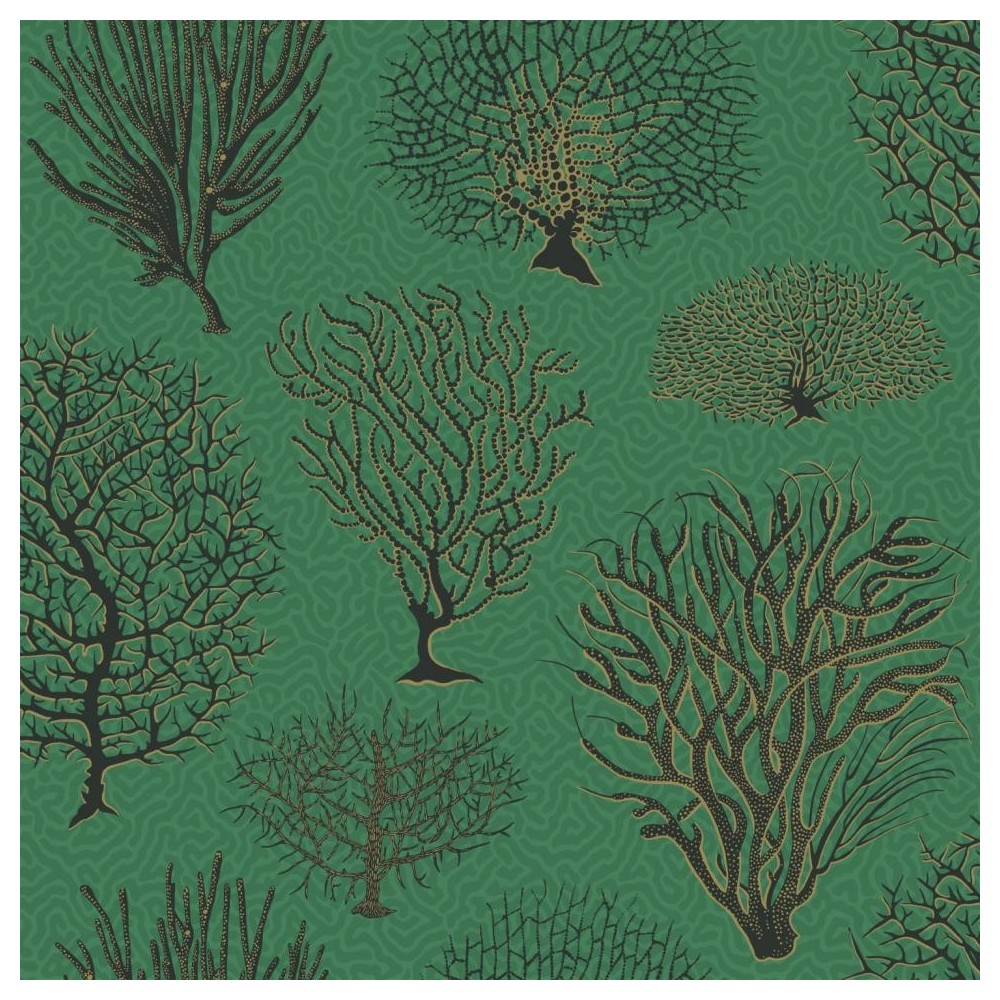 PAPEL PINTADO COLE & SON CURIO SEAFERN VER/NEG