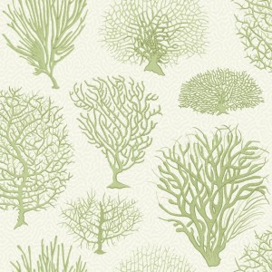 PAPEL PINTADO COLE & SON CURIO SEAFERN PISTACHO