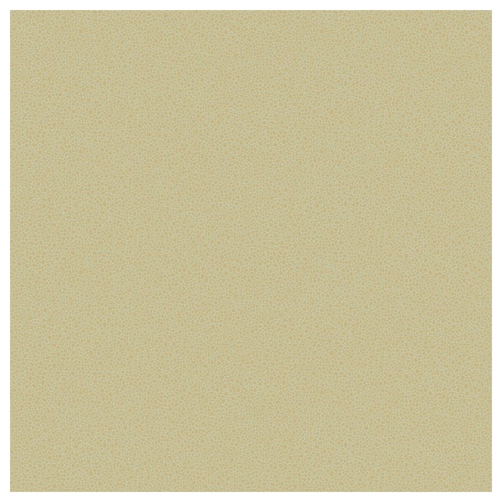 PAPEL PINTADO COLE & SON CURIO GOLDSTONE DOR