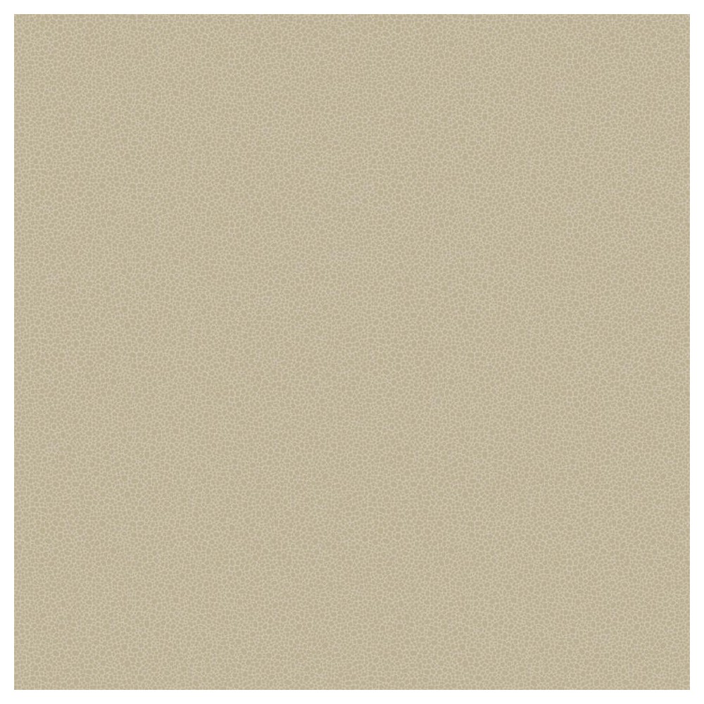 PAPEL PINTADO COLE & SON CURIO GOLDSTONE CHAMPAGN