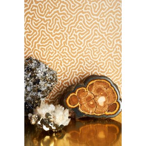 PAPEL PINTADO COLE & SON CURIO VERMICELLI DOR