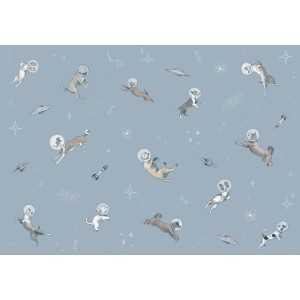 MURAL COORDONNE RANDOM KIDS DOGGY GRAVITY SKY