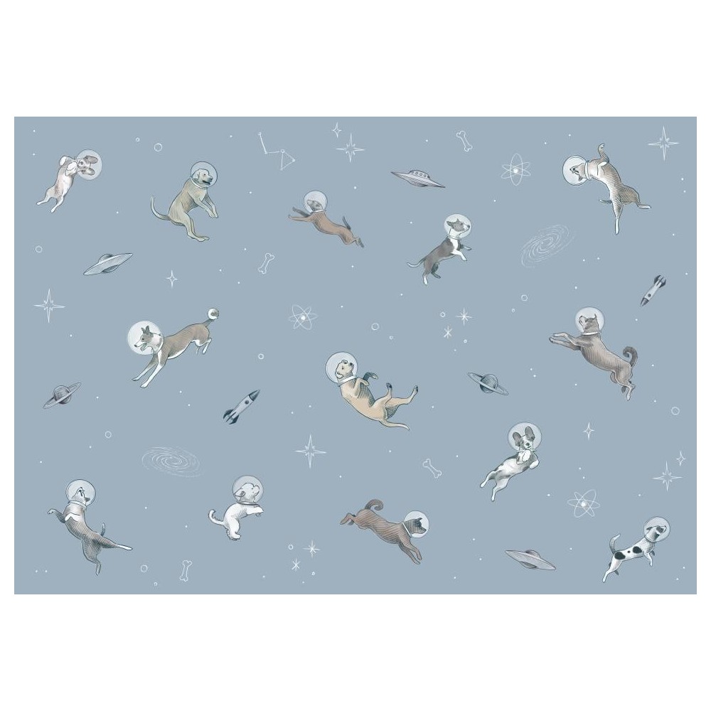 MURAL COORDONNE RANDOM KIDS DOGGY GRAVITY SKY