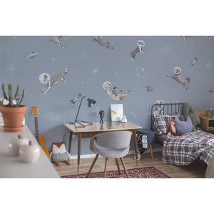 MURAL COORDONNE RANDOM KIDS DOGGY GRAVITY SKY