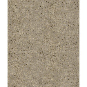 PAPEL PINTADO KHROMA CABINET TENDER DESERT  BEIG 