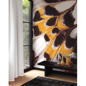 MURAL CASADECO NICARAGUA MARIPOSA-M AM/NEG/BL